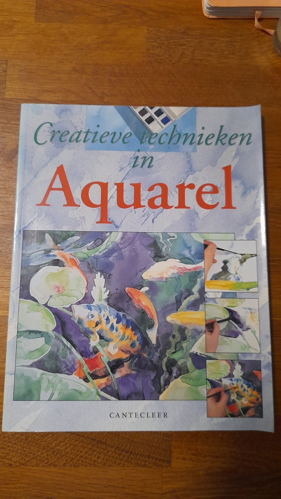 Creatieve Technieken in Aquarel - Canteleer Boek, Ophalen of Verzenden, Zo goed als nieuw, Waterverf