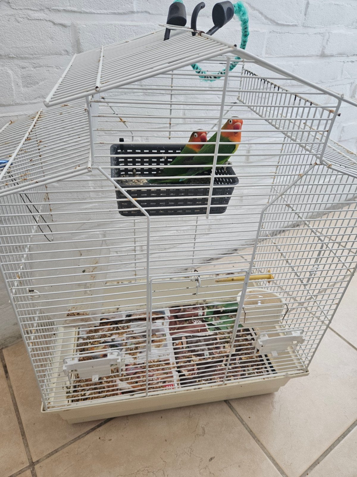 Bellen, Ophalen of Verzenden, Zo goed als nieuw, Metaal, Vogelkooi