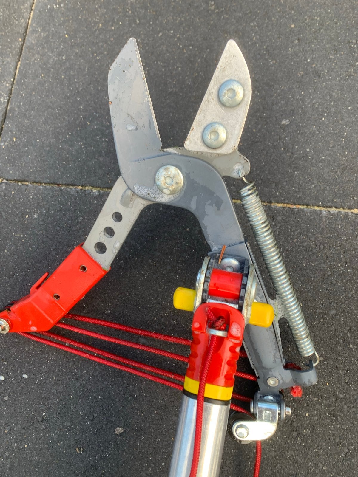 Wolf takkenschaar RC-vm op 3m lange telescoop stok Zm-v3, Tuin en Terras, Ophalen, Gebruikt, Telescopisch