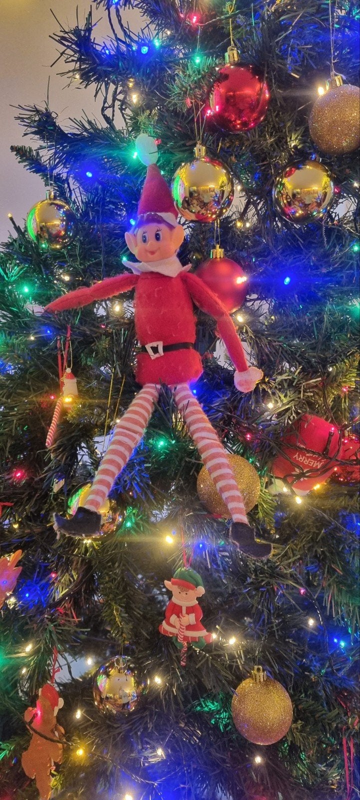 Elf pop, Ophalen of Verzenden, Nieuw, Kerst of Sinterklaas
