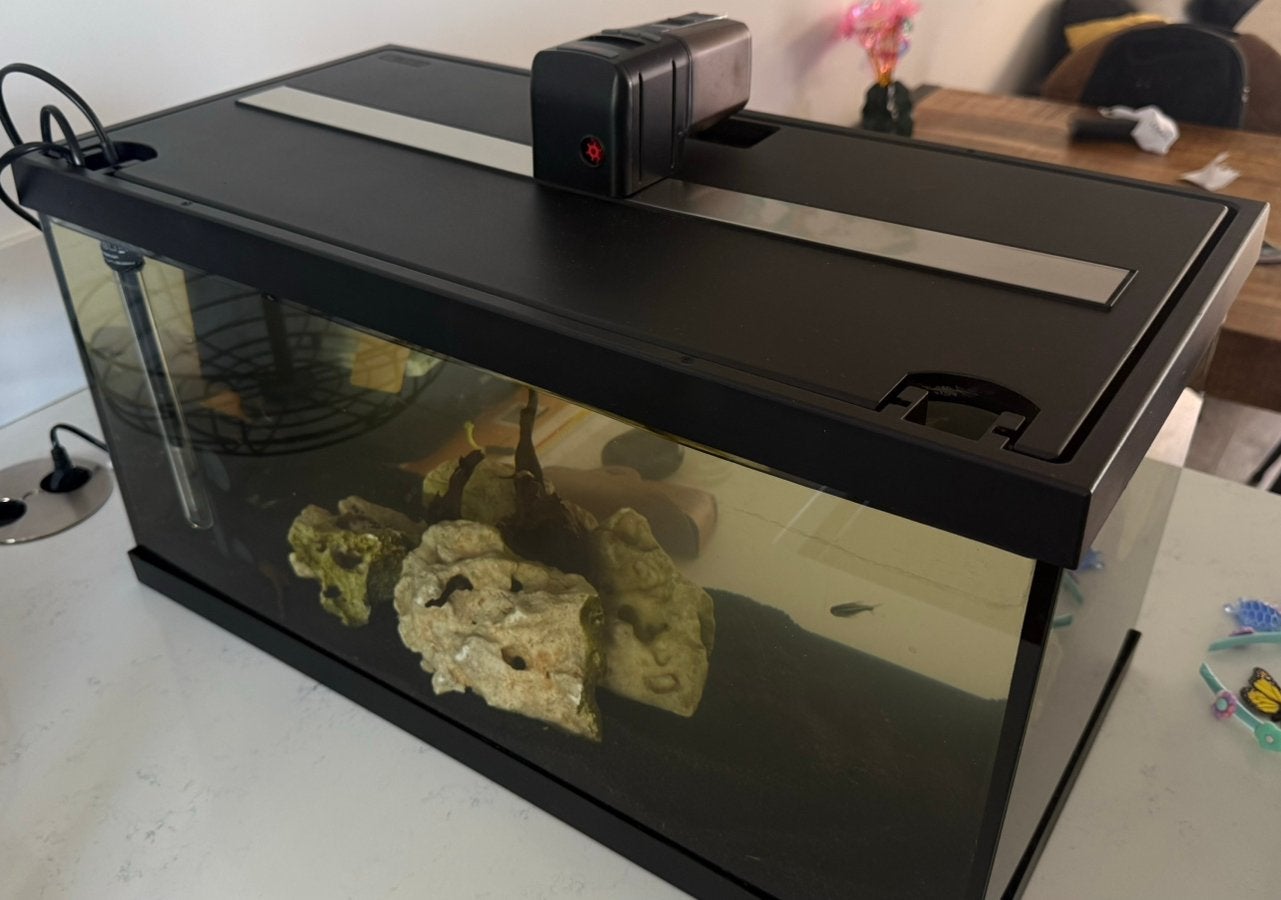 Eheim 54L aquarium met vissen en toebehoren, Dieren en Toebehoren, Ophalen, Gebruikt, Gevuld zoetwateraquarium, Verwarming