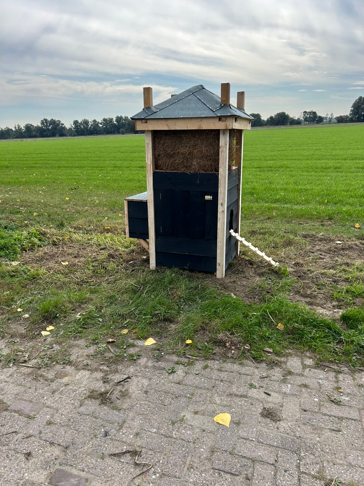 Kippenhok landelijk hooiberg, Ophalen, Zo goed als nieuw, 250 cm of meer, Planken