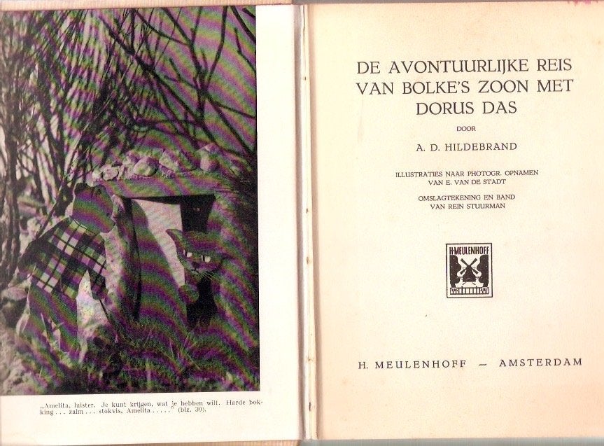 De avontuurlijke reis van Bolke's zoon met Dorus Das, Boeken, Ophalen of Verzenden, Gelezen, A.D. Hildebrand, Fictie algemeen