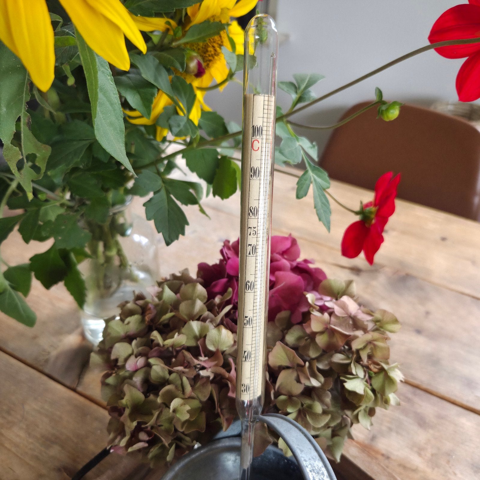 Thermometer inmaak weckketel vloeistofthermomete, Ophalen