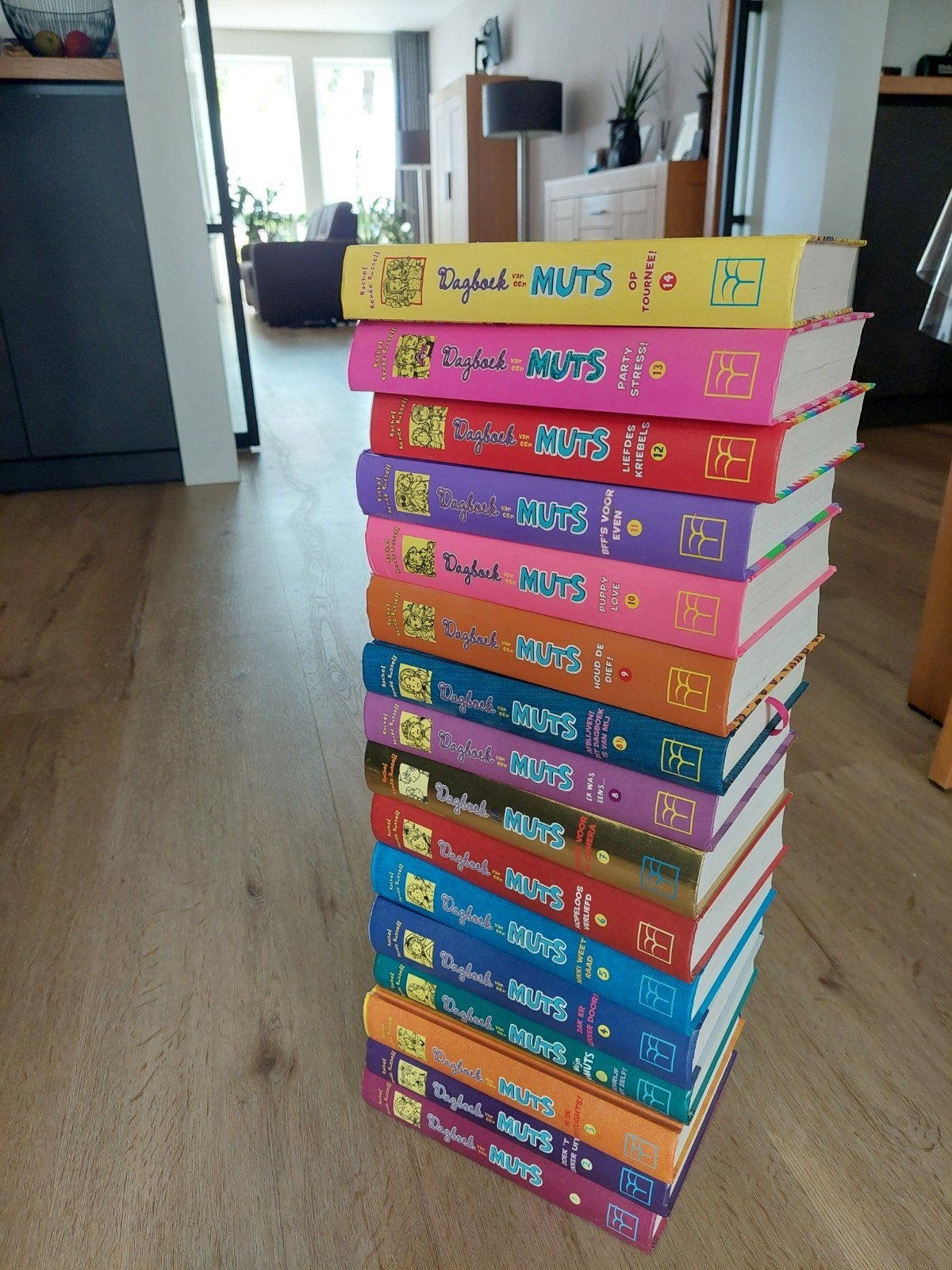 dagboek van een muts serie, Ophalen of Verzenden, Zo goed als nieuw