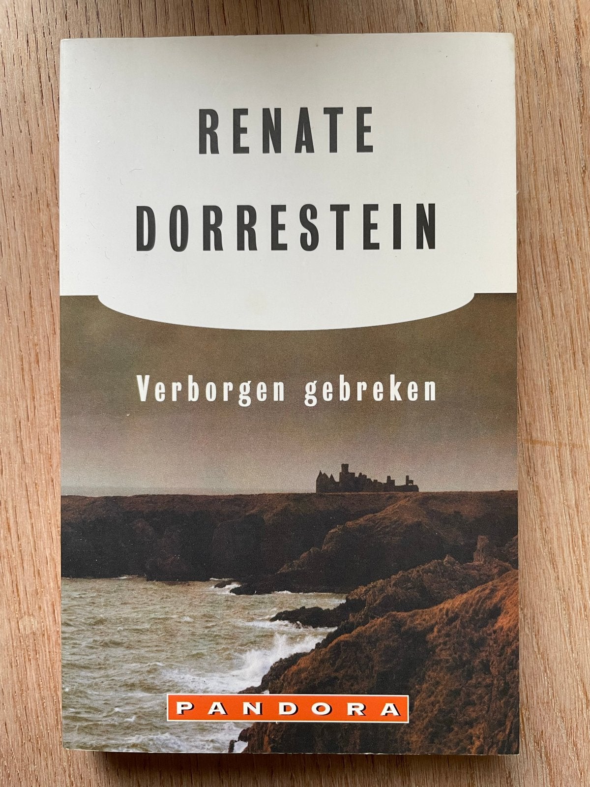 Renate Dorrestein - Verbergen gebreken ISBN 9789025499709, Ophalen of Verzenden, Zo goed als nieuw, Nederland