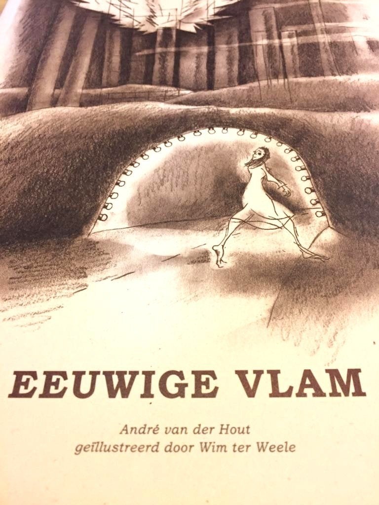 Eeuwige Vlam - André van der Hout / 9789083022499, André van der Hout & Wim ter Weele (Illustraties), Ophalen of Verzenden, Zo goed als nieuw