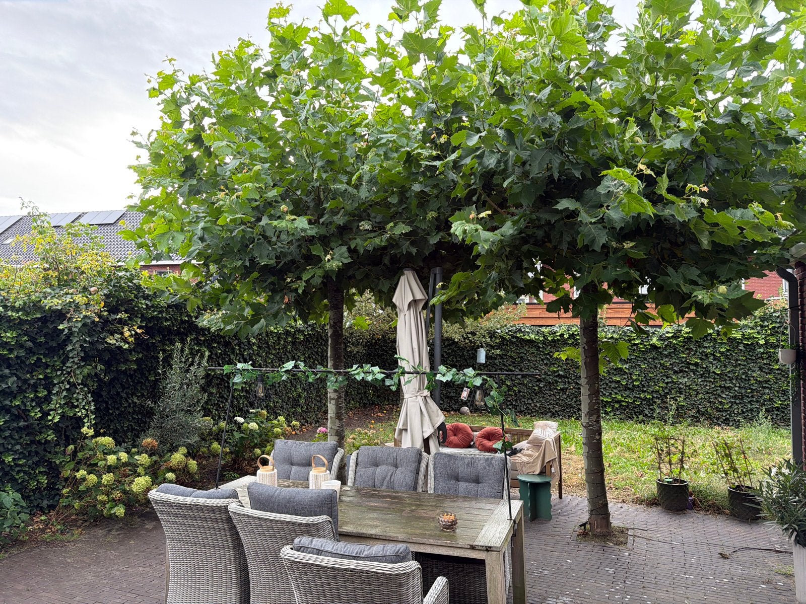 Gezocht: tuinman, Tuinonderhoud of Snoeiwerk