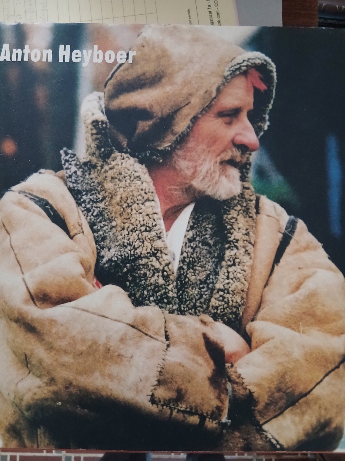 Anton Heyboer - Boek over de Nederlandse kunstenaar, Boeken, Verzenden, Zo goed als nieuw, Anton Heyboer, Nederland