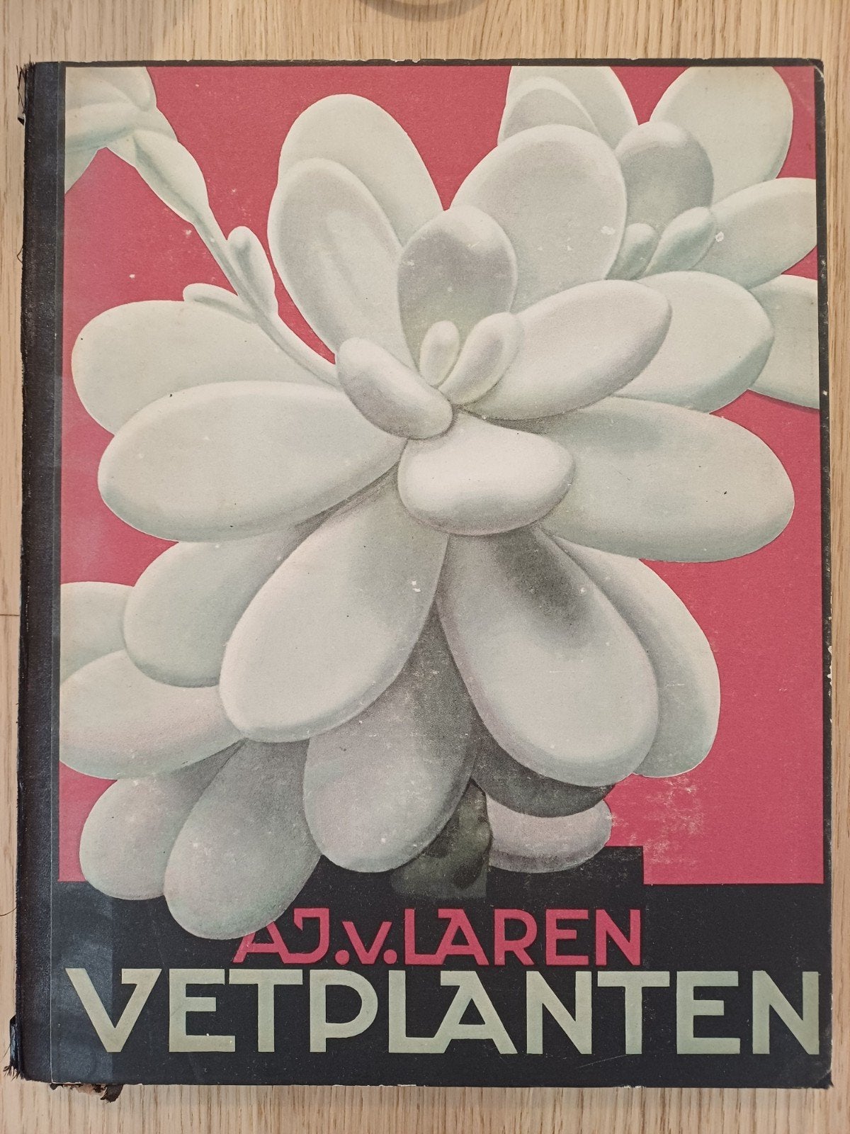 Vetplanten - A.J van Laren Verkade Album (1932) door A.J. va, Gelezen, A.J. van Laren, Bloemen, Planten en Bomen, Ophalen of Verzenden