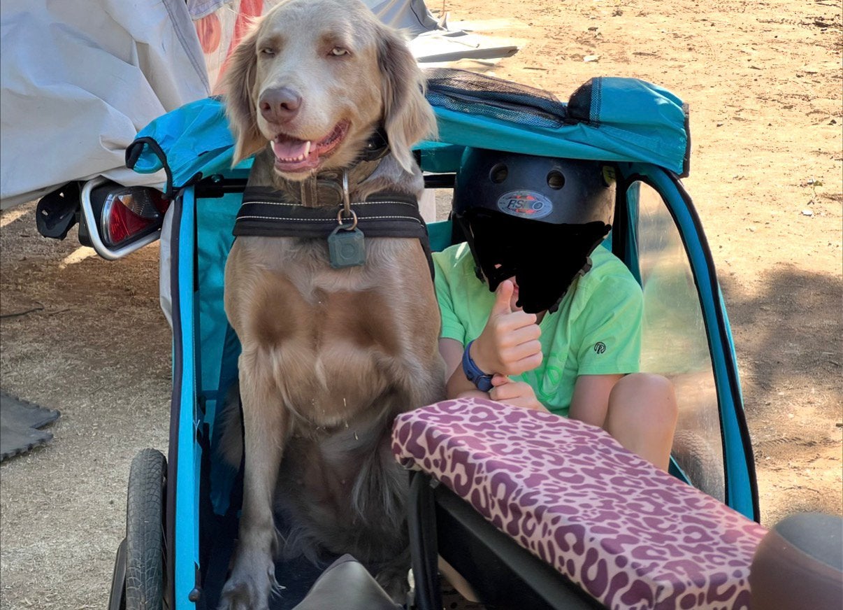 Honden fiets kar, Ophalen of Verzenden