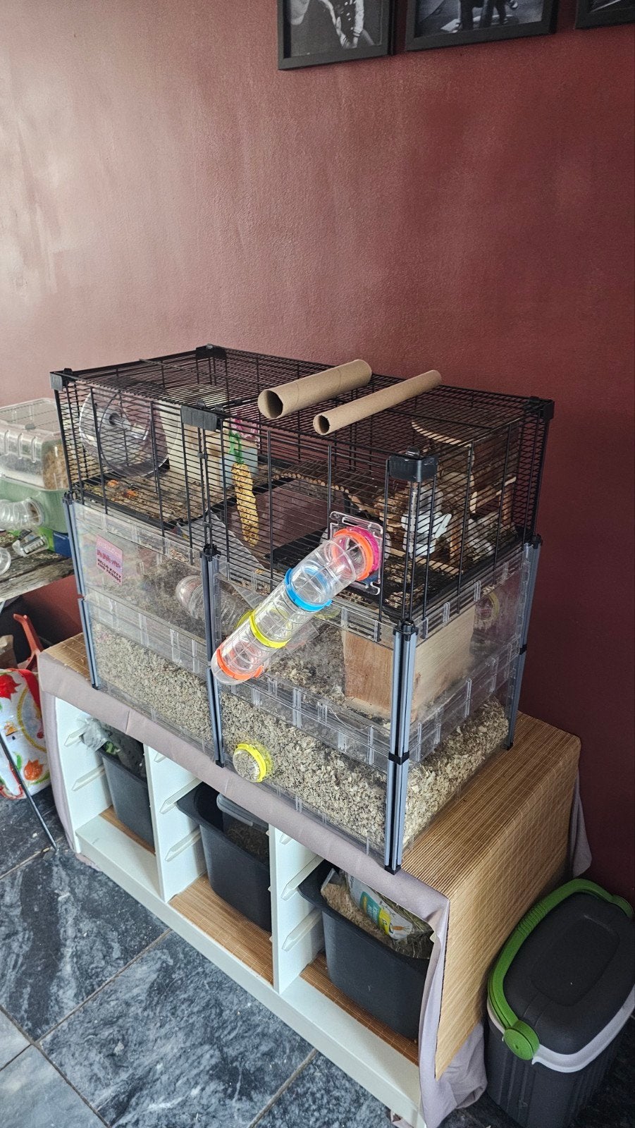 Kooi voor Gerbil of hamster, Dieren en Toebehoren, Knaagdieren en Konijnen | Hokken en Kooien, Kooi, Minder dan 75 cm, Zo goed als nieuw