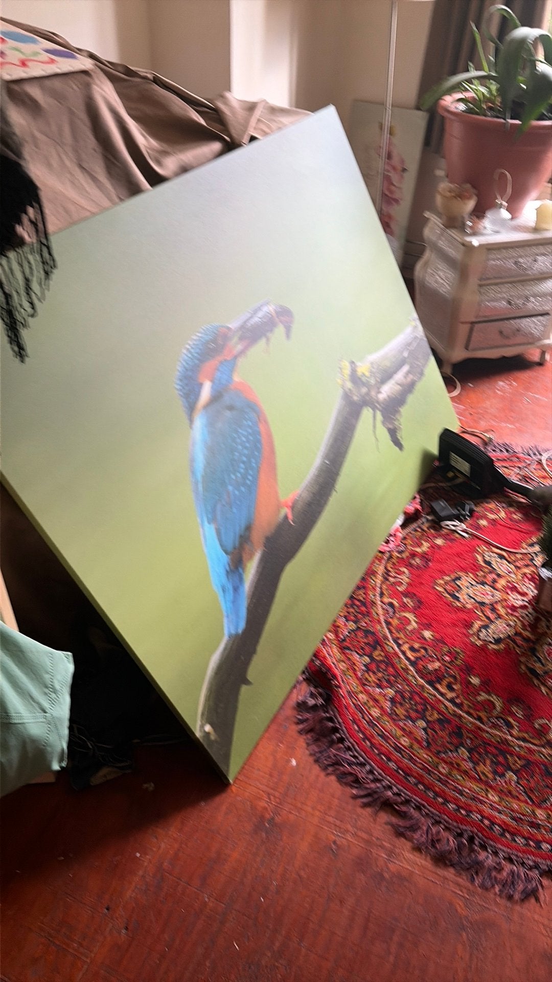 Canvas schilderij ijsvogel, Ophalen