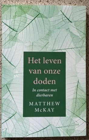 Het leven van onze doden - Matthew McKay, Achtergrond en Informatie, Ziel of Sterfelijkheid, Ophalen of Verzenden, Zo goed als nieuw