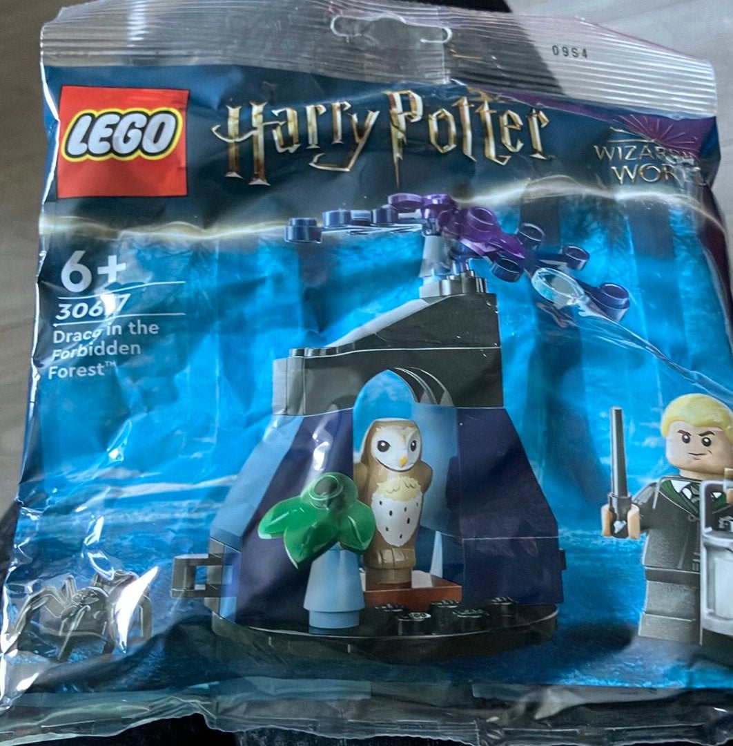 Lego harty potter. Draco ik the forbiddne forest, Lego, Harry Potter, Ophalen of Verzenden, Zo goed als nieuw
