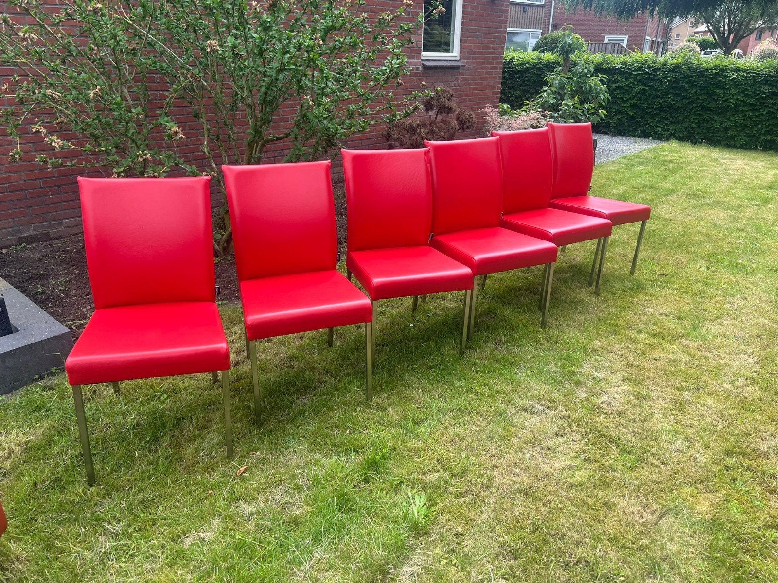 Eetkamer stoelen, Ophalen, Gebruikt, Leer, Vijf, Zes of meer stoelen