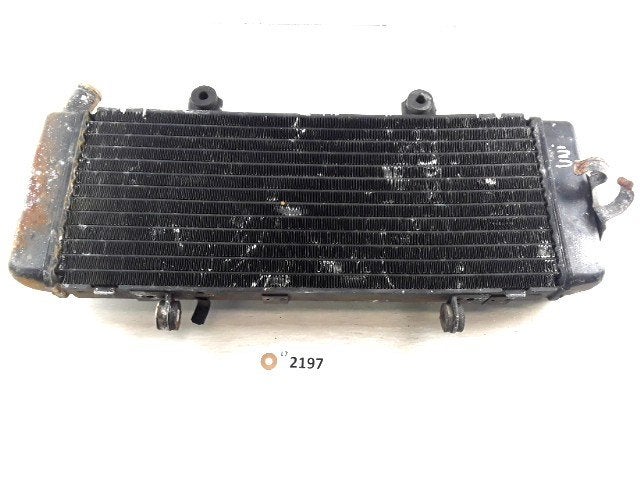 Radiator D1-37879