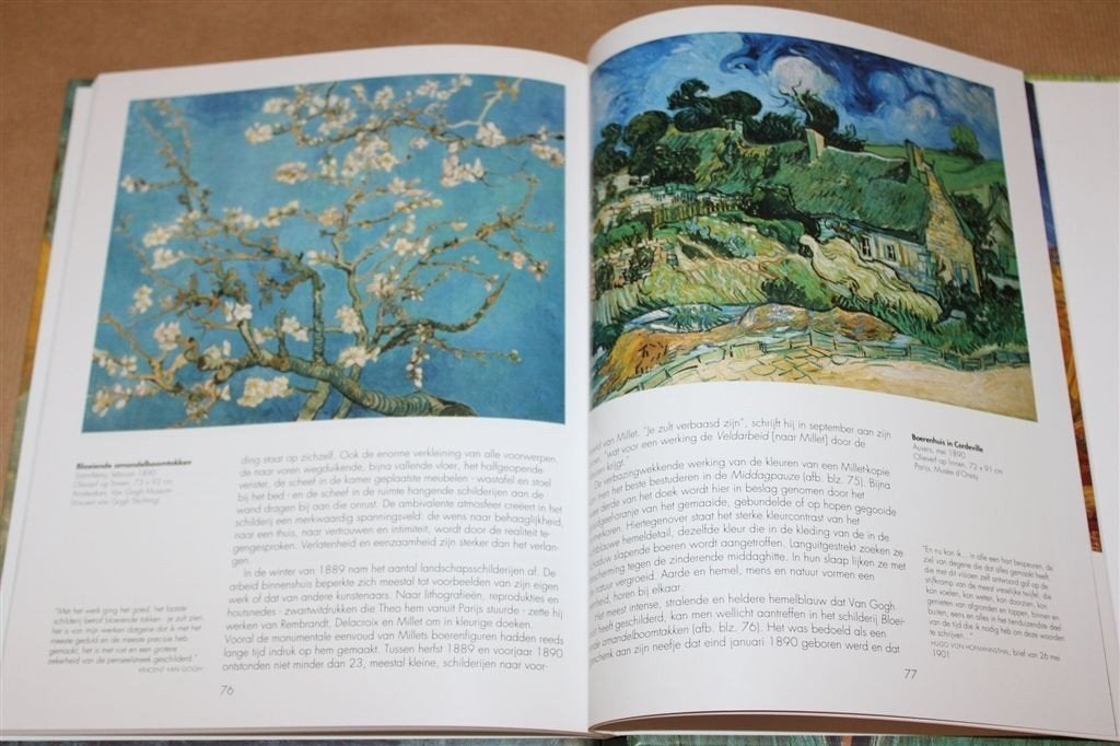 Vincent van Gogh, 1853-1890. Visie en werkelijkheid., Boeken, Ophalen of Verzenden, Zo goed als nieuw