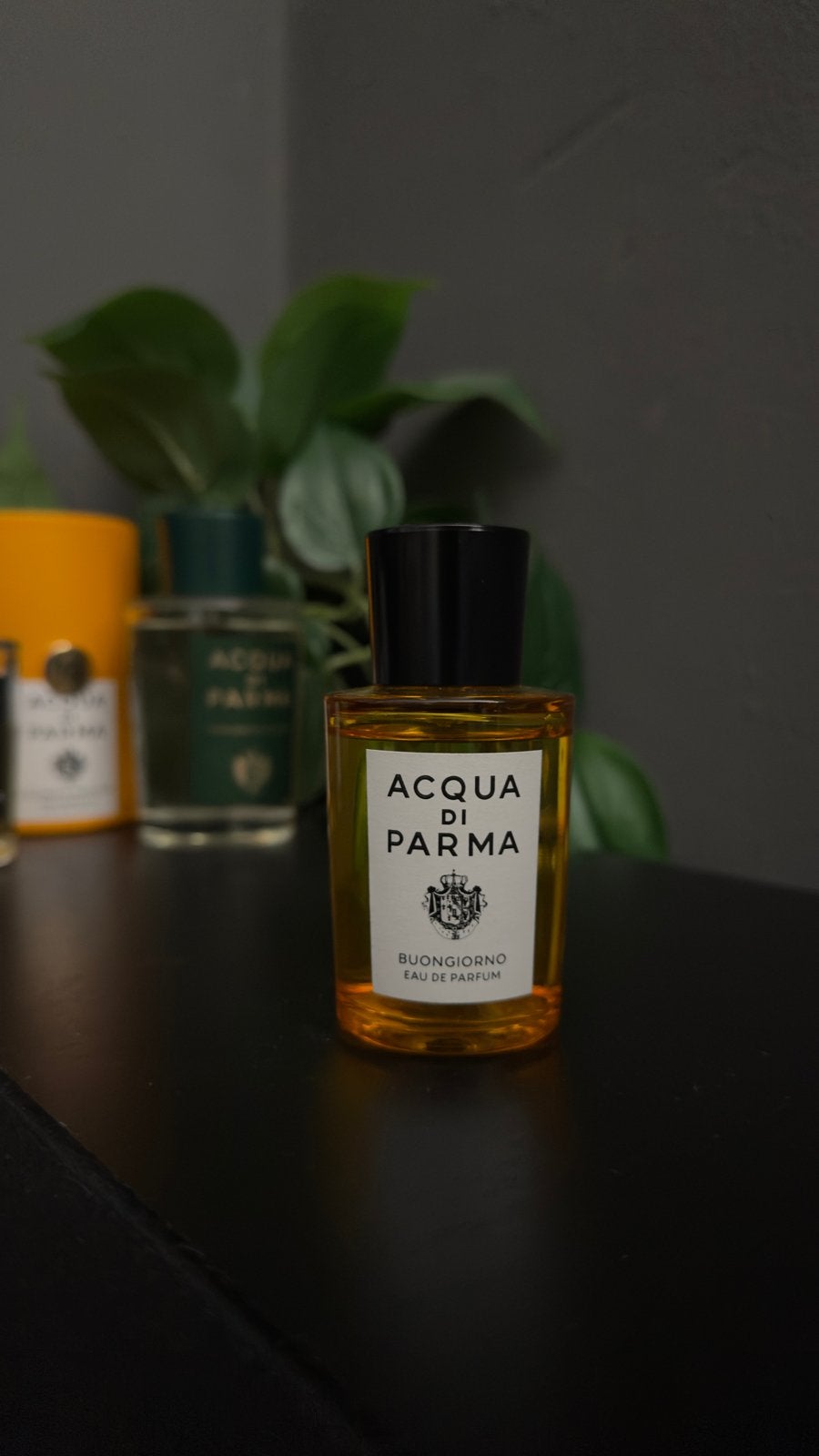 Acqua di Parma Buongiorno Eau de Parfum 50ml, Acqua Di Parma S.r.l., Dpo@acquadiparma.it, Ophalen of Verzenden, Zo goed als nieuw