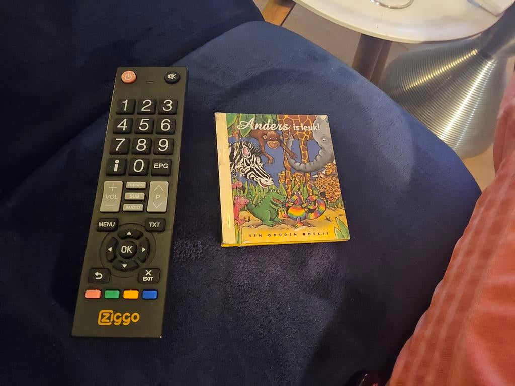 Anders is leuk - Een Gouden Boekje over diversiteit, Onbekend, Voorleesboek, Fictie algemeen, Jongen of Meisje