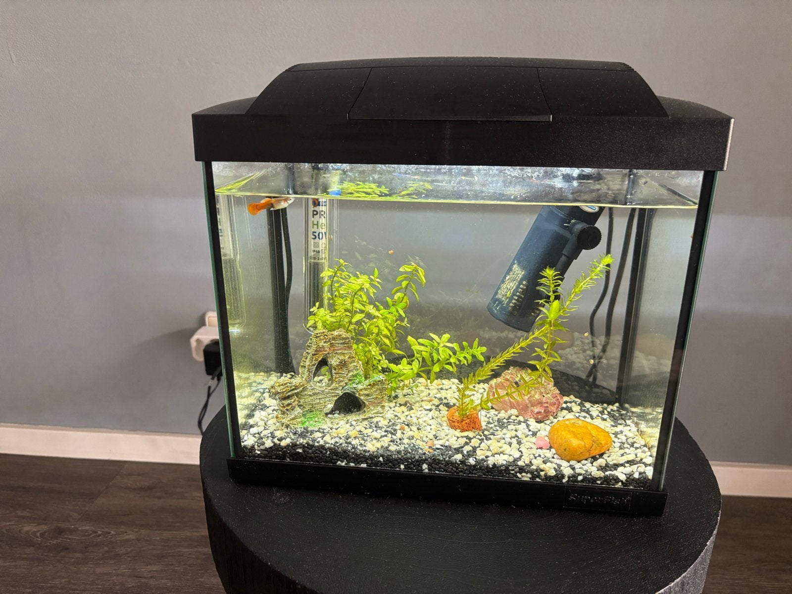 Aquarium, Ophalen, Verwarming, Zo goed als nieuw, Superfish