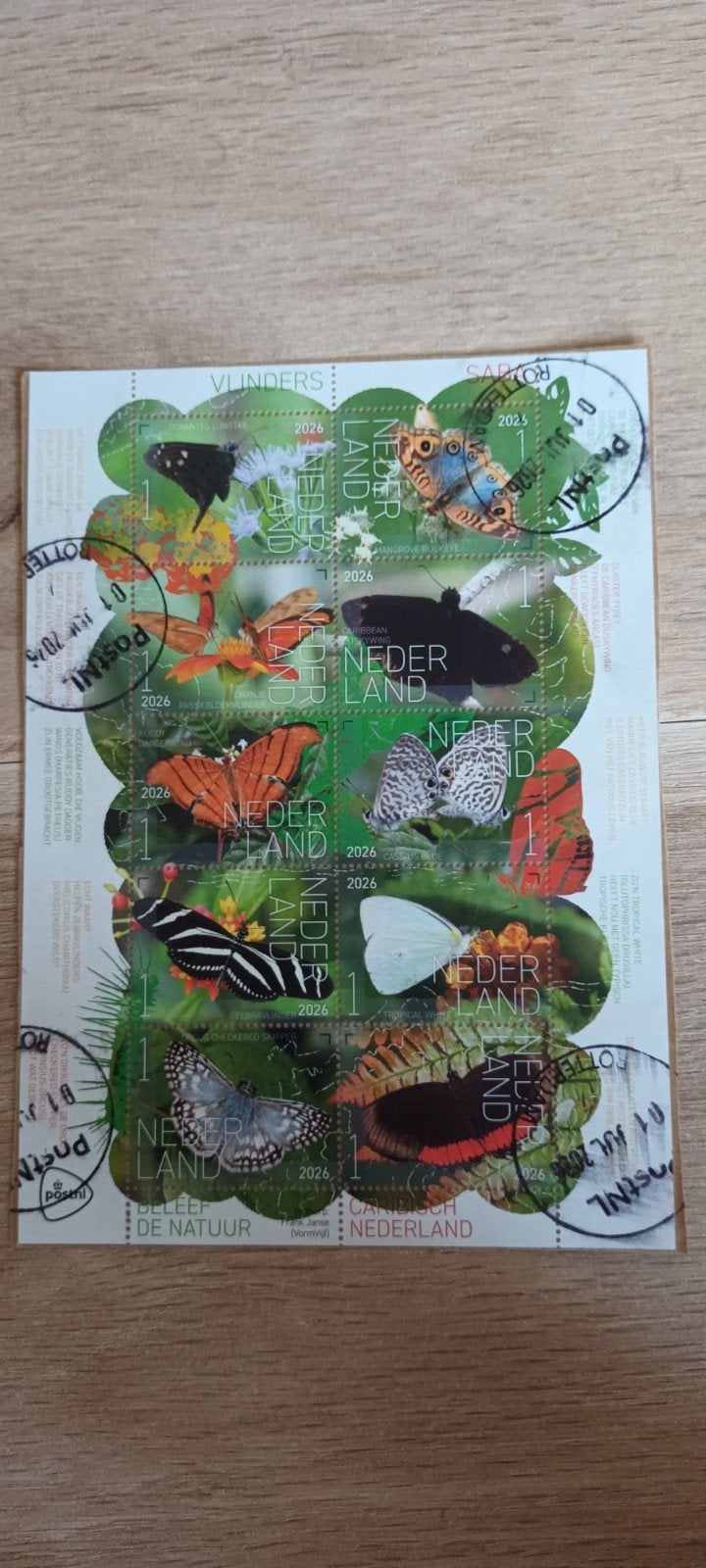 PRACHTIG VELLETJE BELEEF DE NATUUR GESTEMPELD OP PAPIER, Ophalen of Verzenden