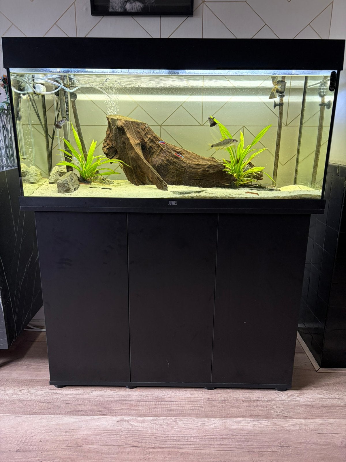 aqaruim met kast 180 liter, Ophalen, Gebruikt, Aquariummeubel, Juwel