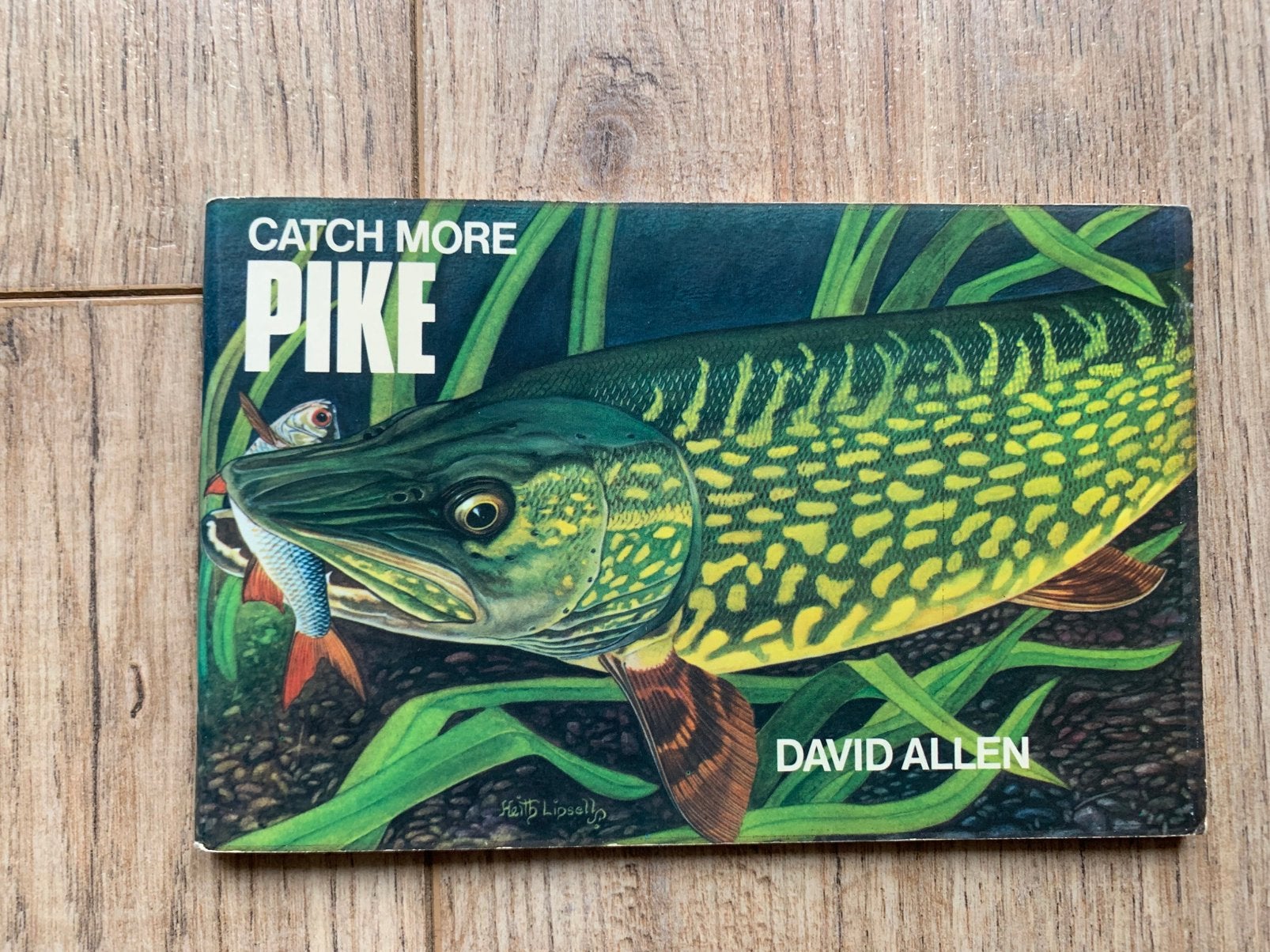 Hengelsport visboeken catch more pike david allen snoek vis, Ophalen of Verzenden, Zo goed als nieuw, Overige typen