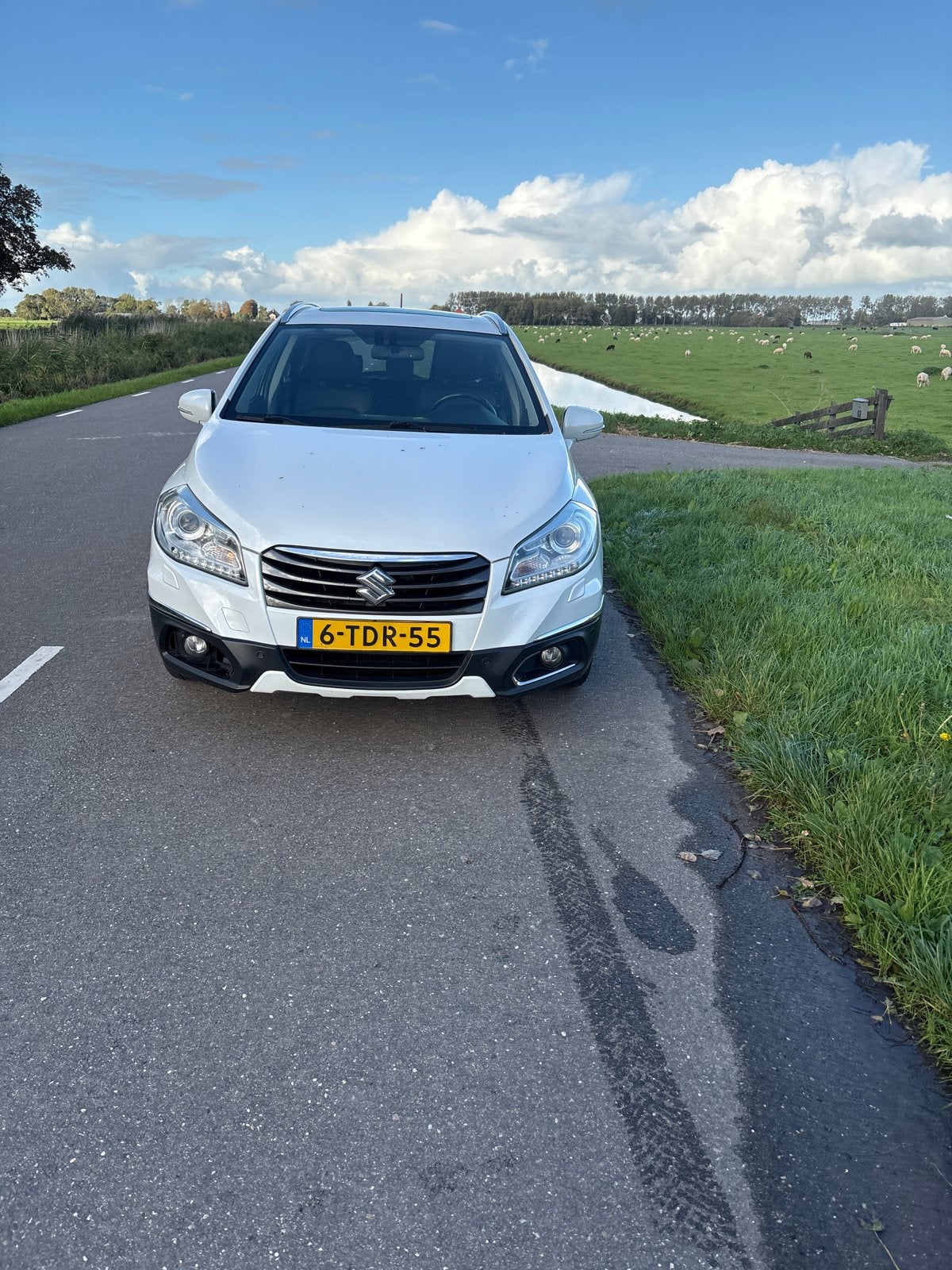 Suzuki S-Cross 1.6 88KW Allgrip 2014 Wit, 1145 kg, 400 kg, 1200 kg, Handgeschakeld