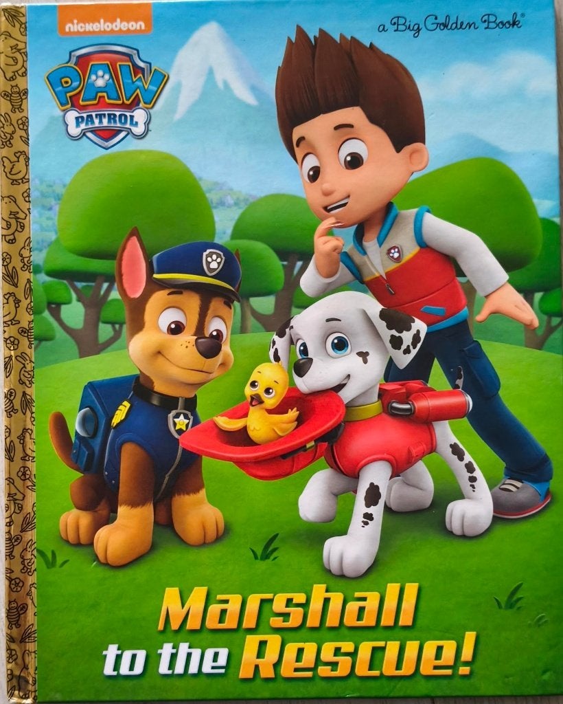 Paw Patrol book: Marshall to the rescue, Ophalen, 3 tot 4 jaar, Diverse auteurs, Zo goed als nieuw