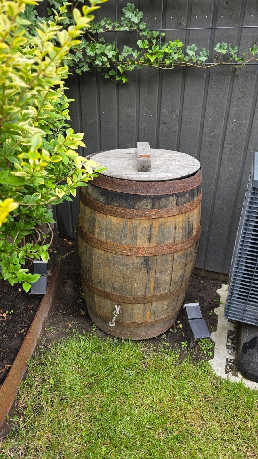 Regenton Whiskeyvat Eikenhout 190L - 60x60x90 cm, Ophalen, Gebruikt, Met kraantje, 150 liter of meer