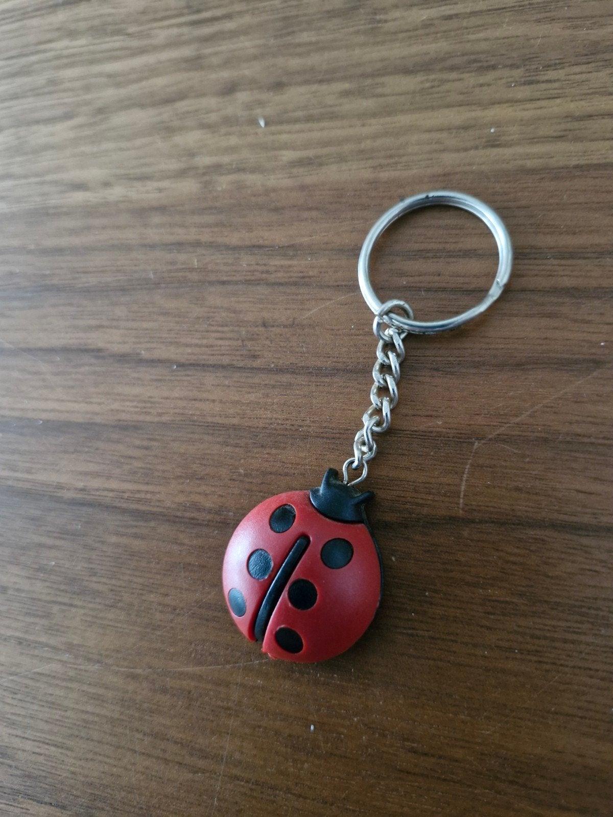 133 Lieveheersbeestje sleutelhanger Nefit-Turbo, Ophalen of Verzenden
