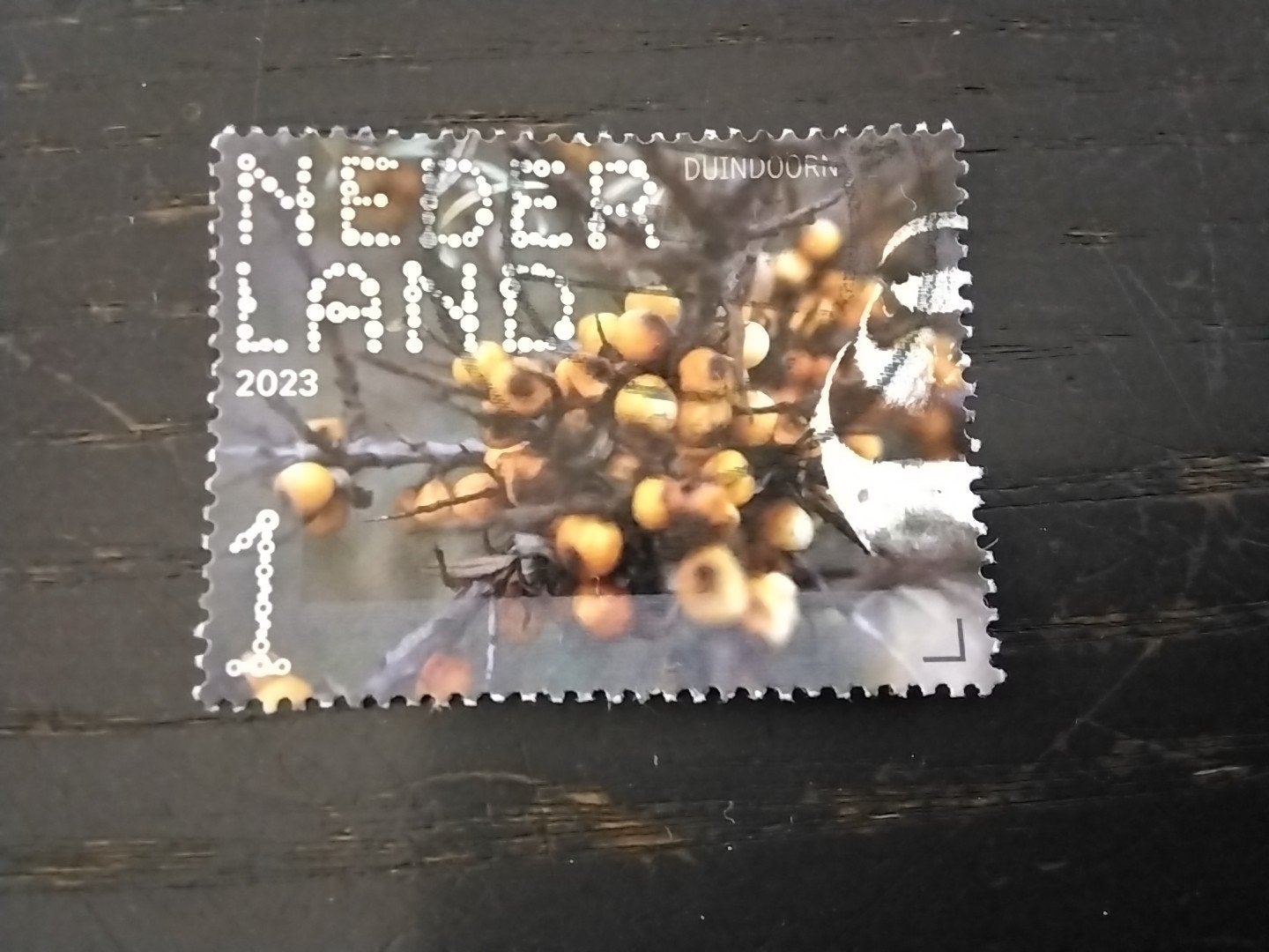 2088 Nederland persoonlijkheids zegel 2023 duindoorn, Ophalen of Verzenden, Gestempeld, Dier of Natuur