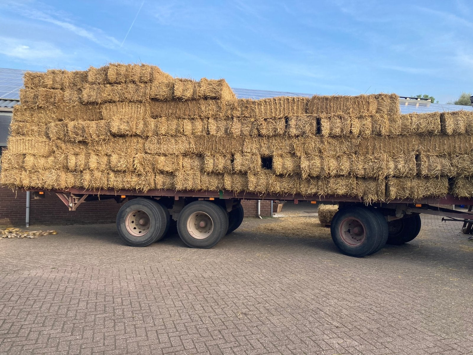 Stro baaltje tarwe strobalen kleine baaltjes goud geel, Dieren en Toebehoren, Dierenvoeding, Ophalen, Vee