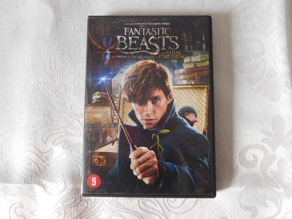 dvd fantastic beasts, Ophalen of Verzenden, Zo goed als nieuw