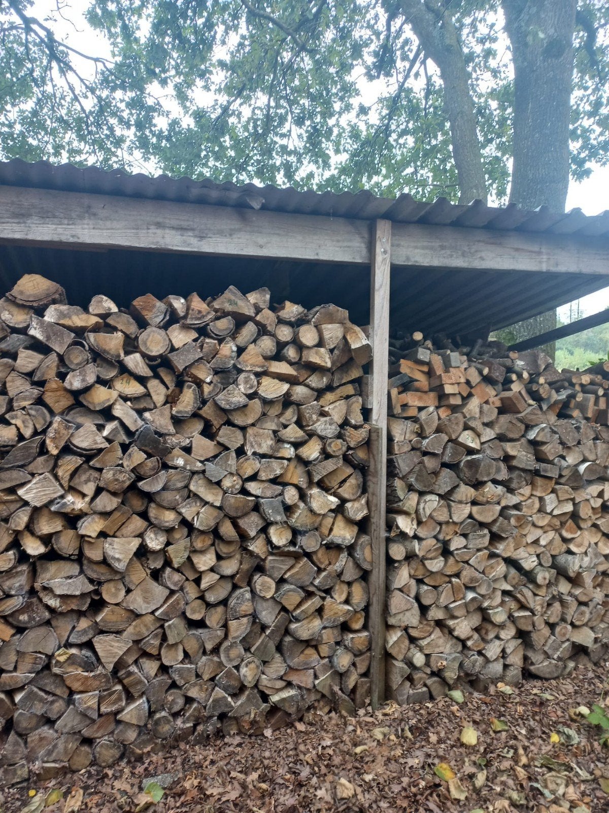 droog openhaardhout kachelhout brandhout mix eik beuk essen, 6 m³ of meer, Ophalen, Eikenhout, Blokken
