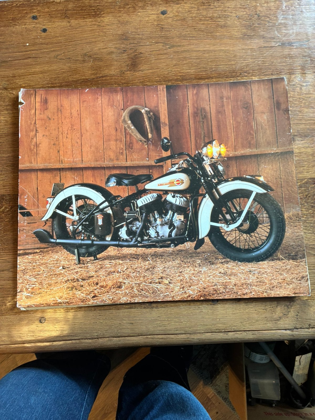 Vintage Harley-Davidson Motorfiets Poster, Ophalen of Verzenden, Zo goed als nieuw, Algemeen