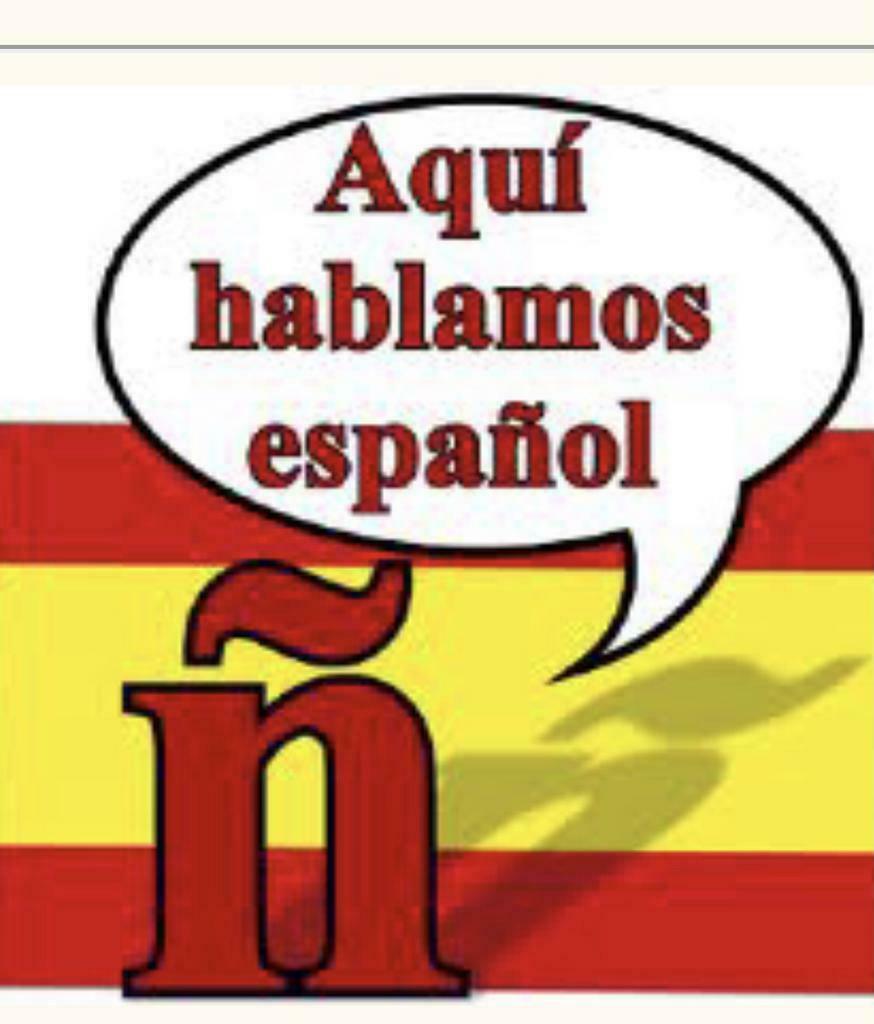 Privé-Spaanse lessen/ Bijles Spaans/OnlinePrivé-Spaanse les, Privéles, Bijles