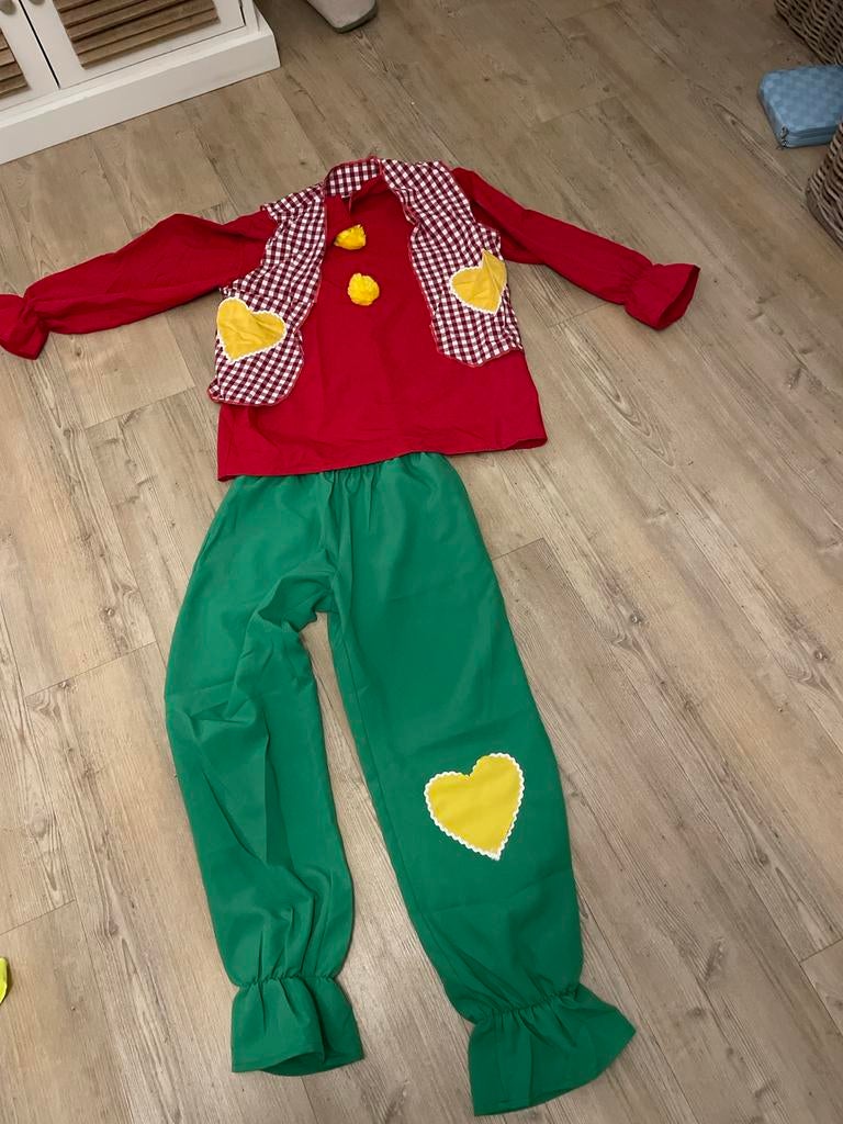Carnavalskleding Kabouter - Maat L, Kinderen en Baby's, Carnavalskleding en Verkleedspullen, Ophalen of Verzenden, Zo goed als nieuw