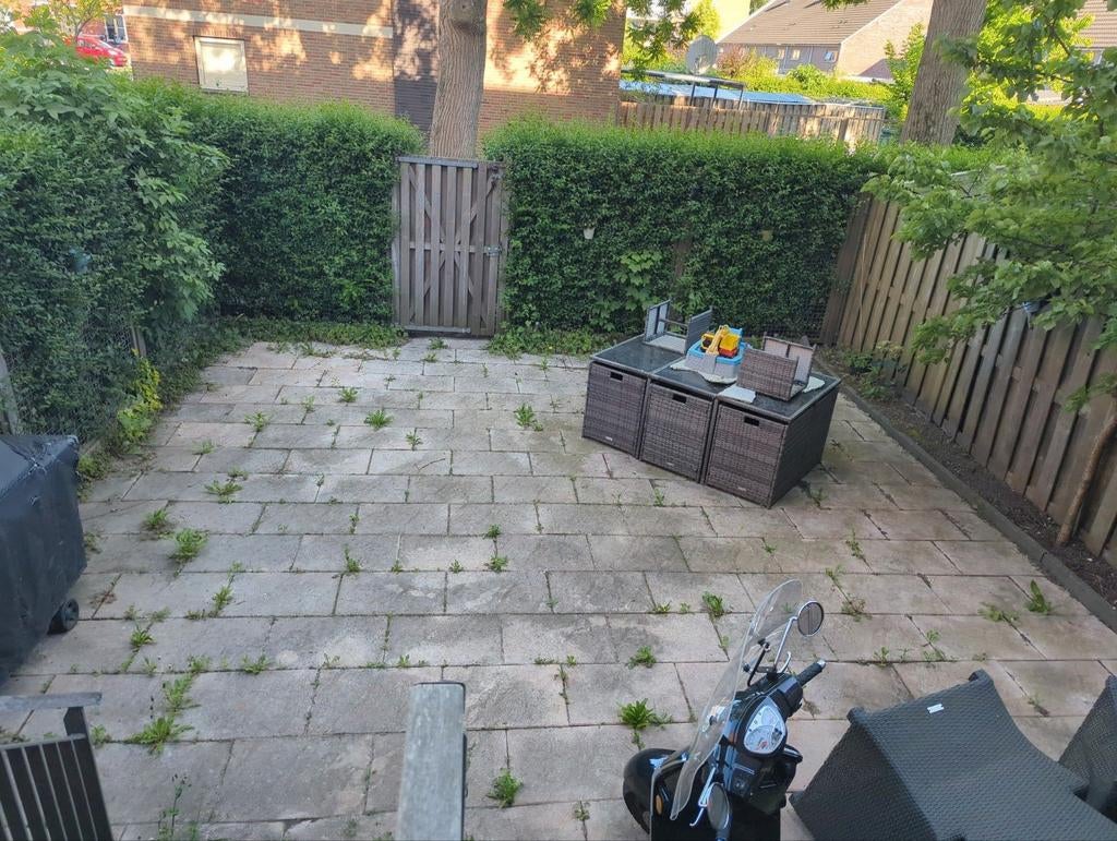 Foto 3 van DE GOEDKOOPSTE professionele oprit reinigen met hogedruk |