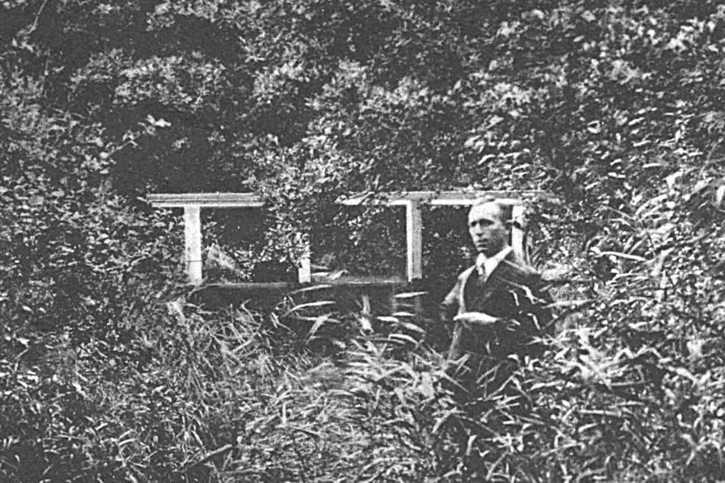 991230 Zuidwolde Drenthe 1927 Stuwbos Gelopen met postzegel, Ophalen of Verzenden, 1920 tot 1940, Gelopen, Drenthe