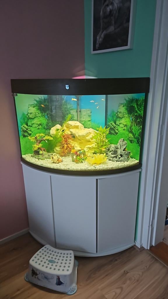 Compleet Hoekaquarium met meubel 190L, Dieren en Toebehoren, Vissen | Aquaria en Toebehoren, Ophalen