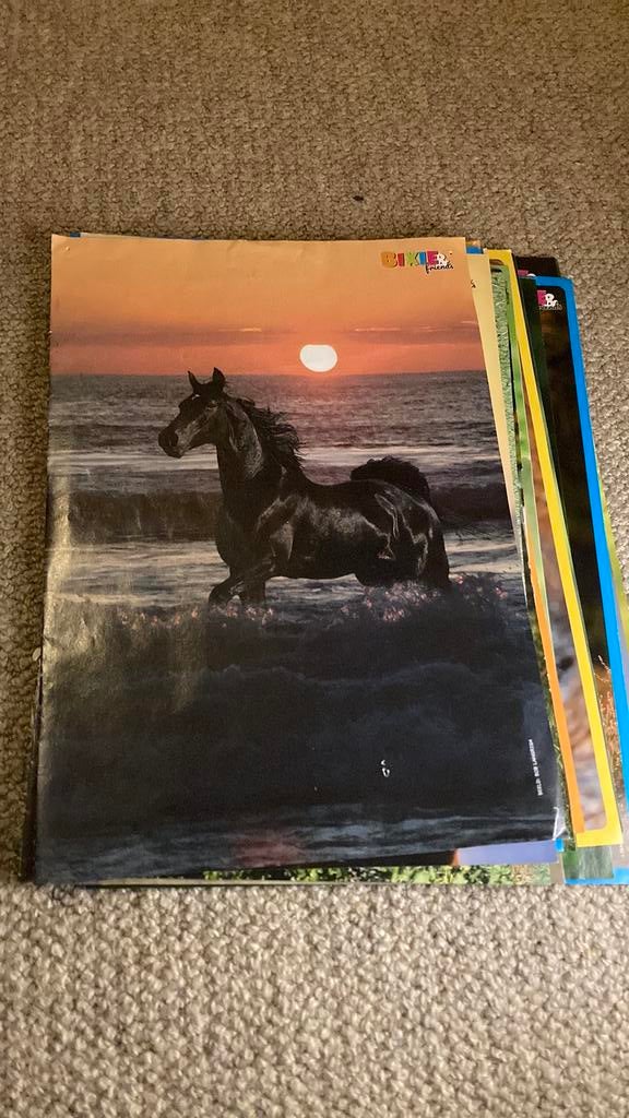 Paarden posters, Gebruikt, Ophalen of Verzenden, A1 t/m A3, Overige vormen