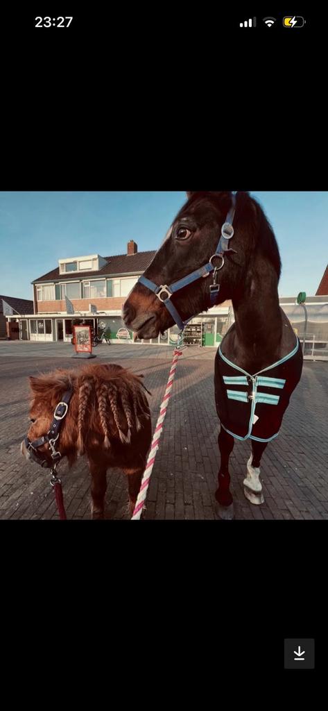 GRATIS paardenmest voor volkstuin of voor over het land, Ophalen, Zo goed als nieuw