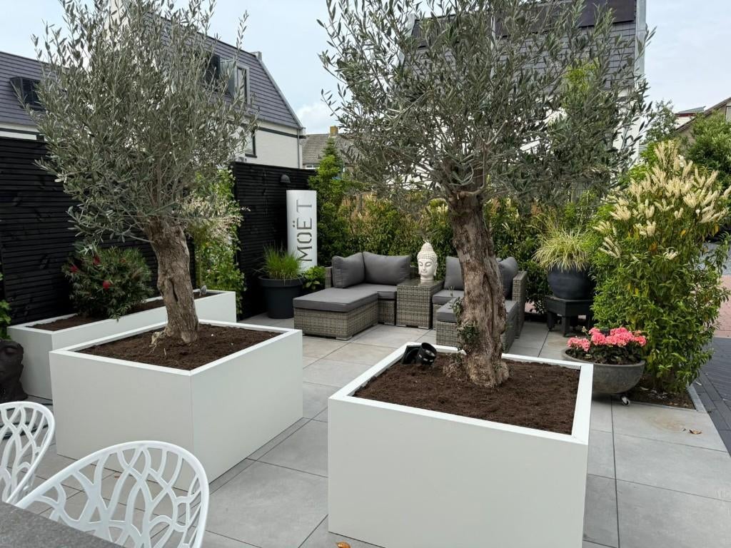 Plantenbakken, Tuin en Terras, Info@plantenbakkenvanstaal.nl, Minder dan 30 cm, Nieuw, Ophalen of Verzenden