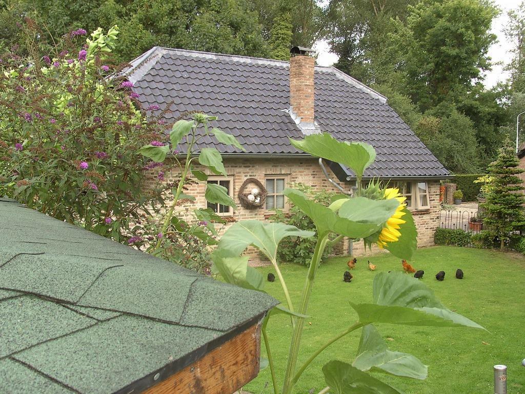 Vakantiehuisje/B&B/ Maas en Waal/Rijk v. Nijmegen/ Winssen., Open haard, 2 slaapkamers, In bos, Landelijk