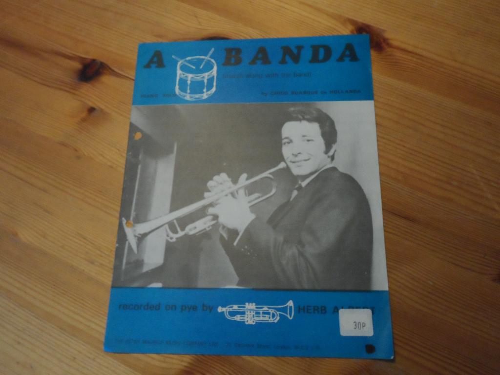 A banda - chico buarque de hollande - herb alpert, Gebruikt, Gitaar, Ophalen of Verzenden, Artiest of Componist