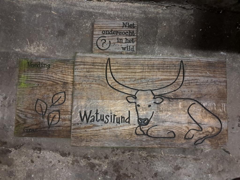 Houten Watusirund Bord – Uniek van Dierentuin Amersfoort, Ophalen of Verzenden, ., ., .