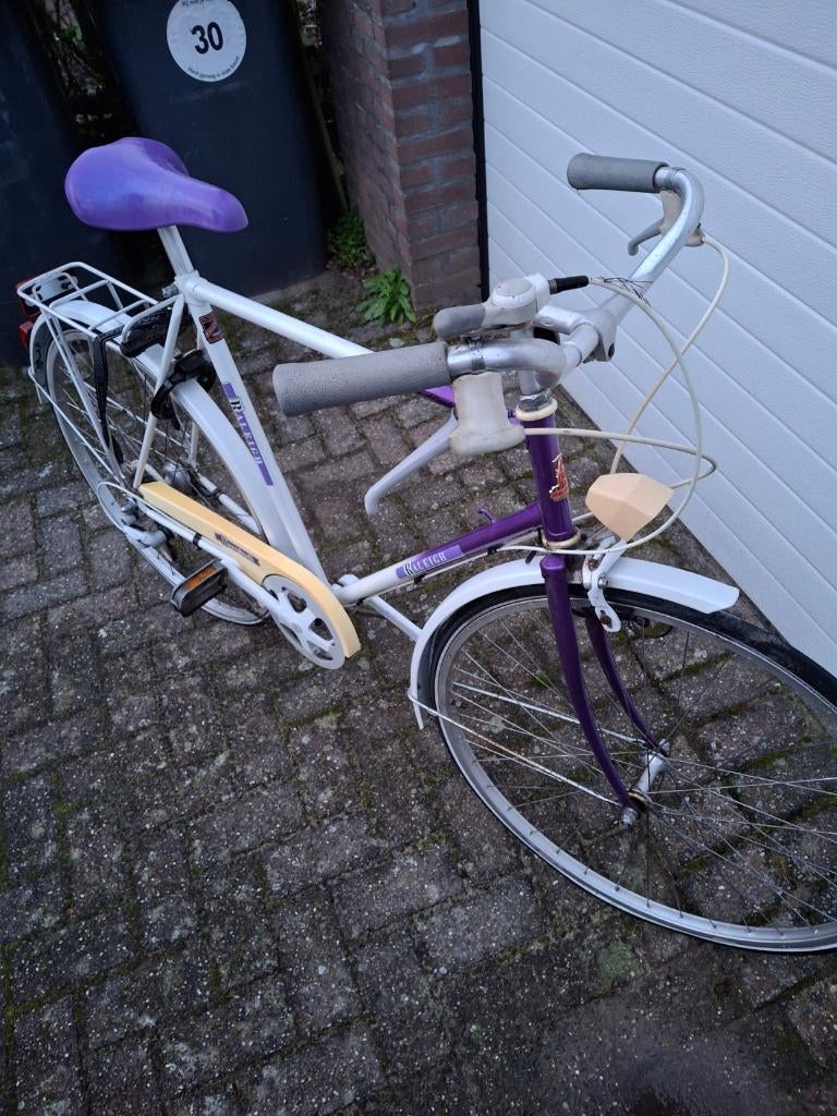 Raleigh Herenfiets, Fietsen en Brommers, Ophalen, Gebruikt, Overige merken, Versnellingen
