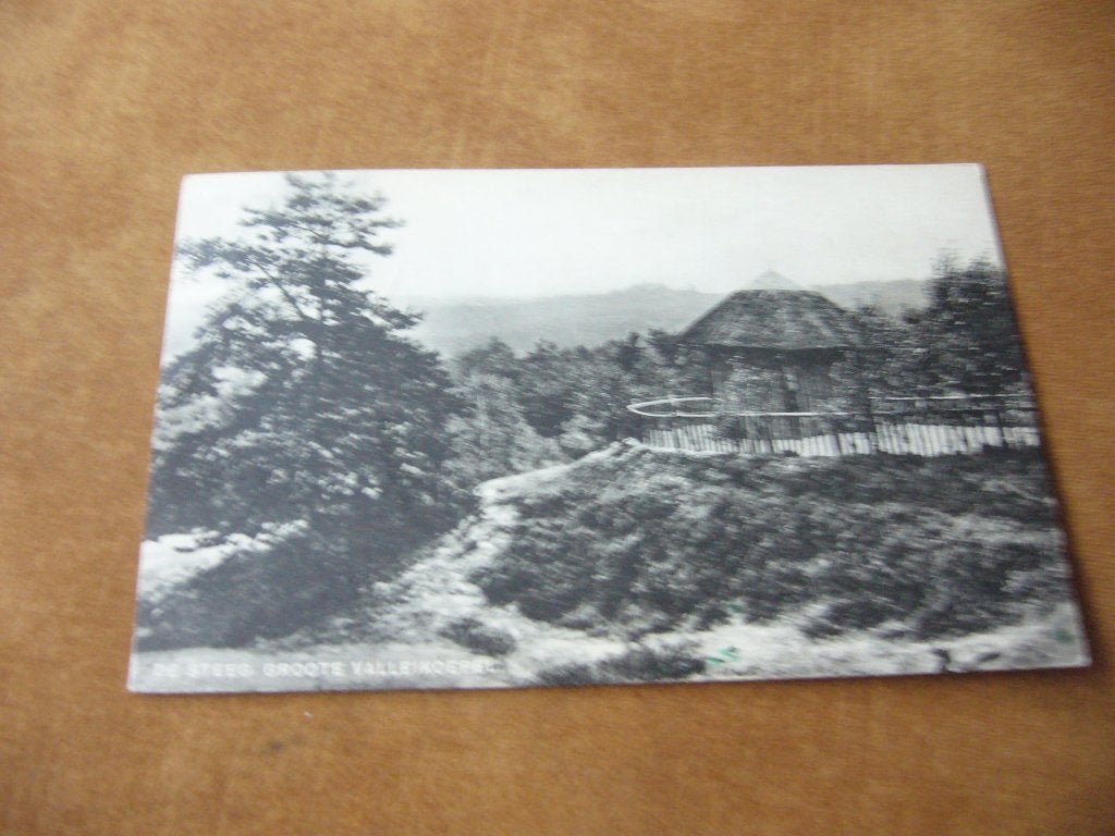 DE STEEG  =  GROOTE VALLEIKOEPEL  1946, Verzamelen, Ansichtkaarten | Nederland, Ophalen of Verzenden, 1940 tot 1960, Gelopen, Gelderland